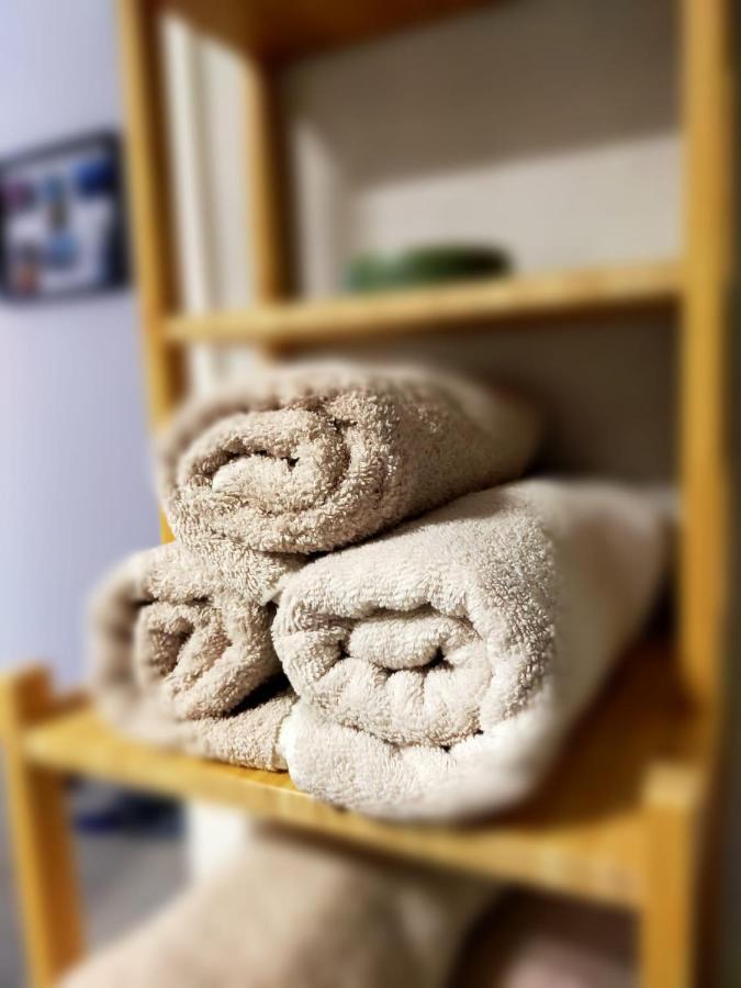 Luca'S Forest Apartment 티미쇼아라 외부 사진